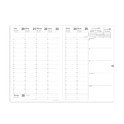 Recambio agenda Ministre Castellano