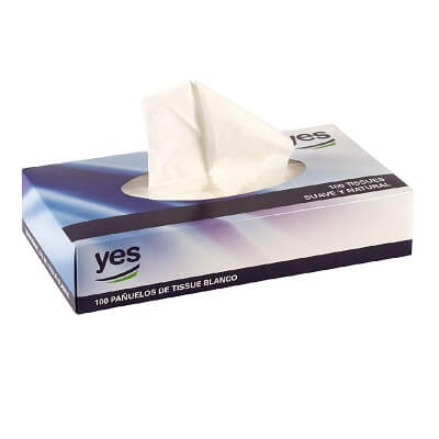 Caja 100 pañuelos faciales 2 hojas