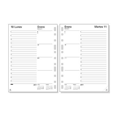 Recanvi agenda Open 3002 D/P Català