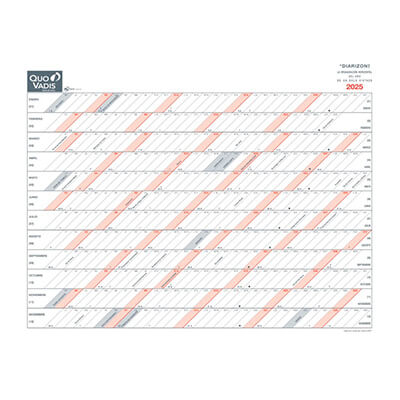 Planing Quo Vadis Diarizon