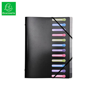 Clasificador exacompta PP 12 compartimentos