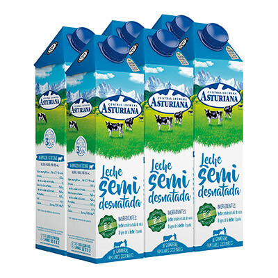 Pack 6 tetrabricks de leche semidesnatada