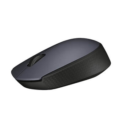 Ratolí Logitech wireless M171