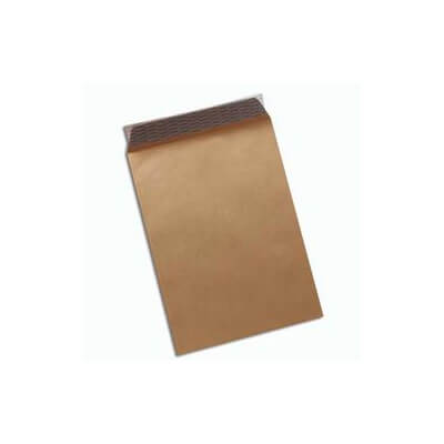 Caja de 250 bolsas kraft autodex 250x353