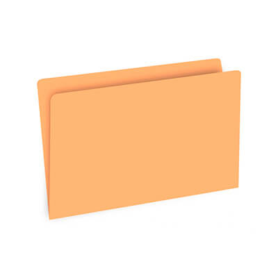 Subcarpeta Foli taronja (50u)